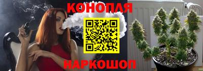 винт Славгород