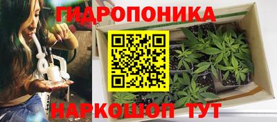 синтетический гашиш Сланцы