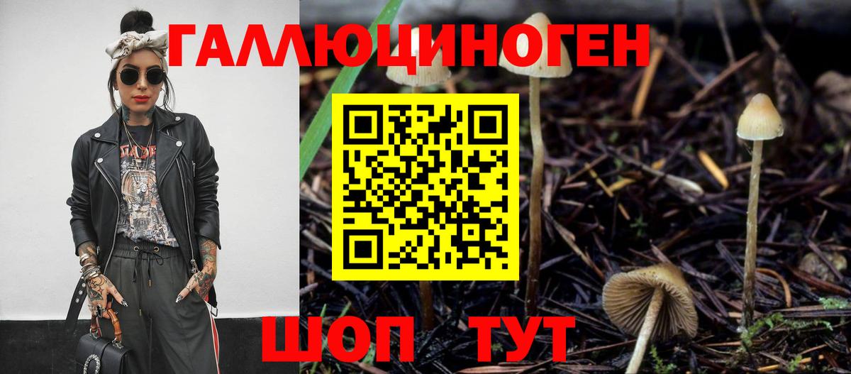 Галлюциногенные грибы Cubensis Борисоглебск