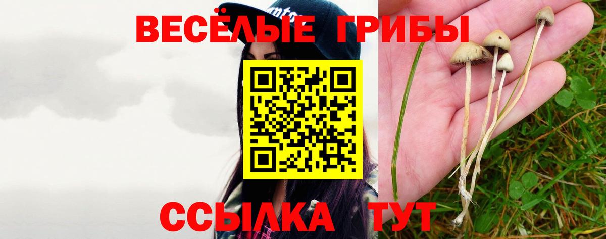 Псилоцибиновые грибы мицелий  Вход с VPN  купить наркотик  Борисоглебск 